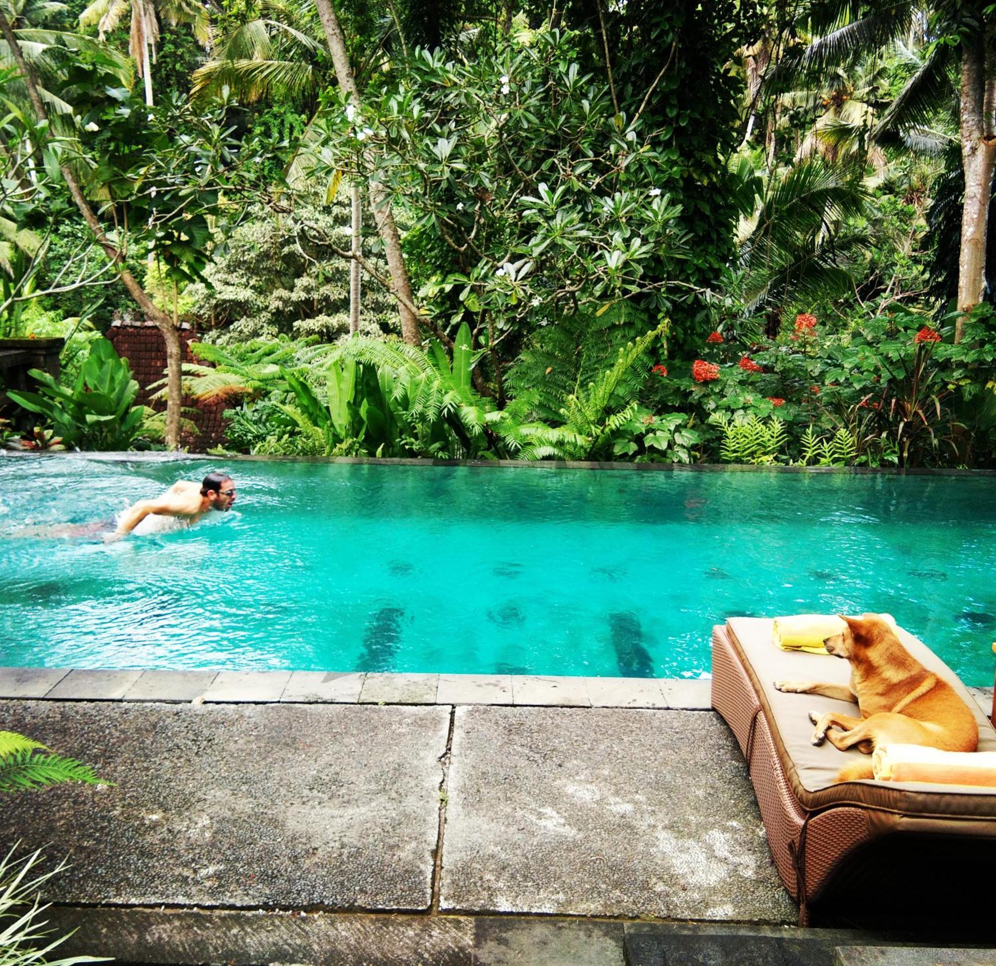 Beji Indah Ubud